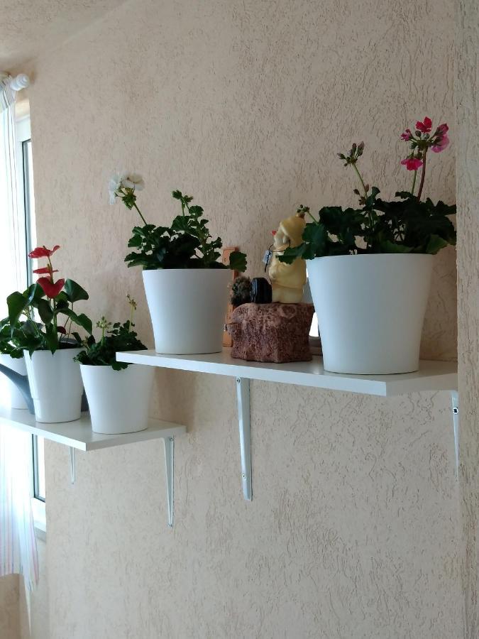 Heart Of Makarska Apartment Exterior photo